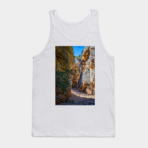 Lick Wash Trail Hike Tank Top by Gestalt Imagery